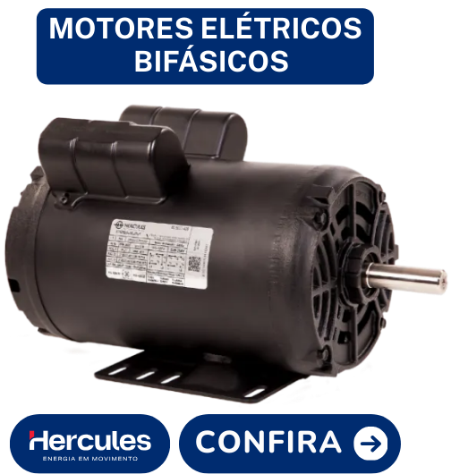 Motores Elétricos Bifásicos